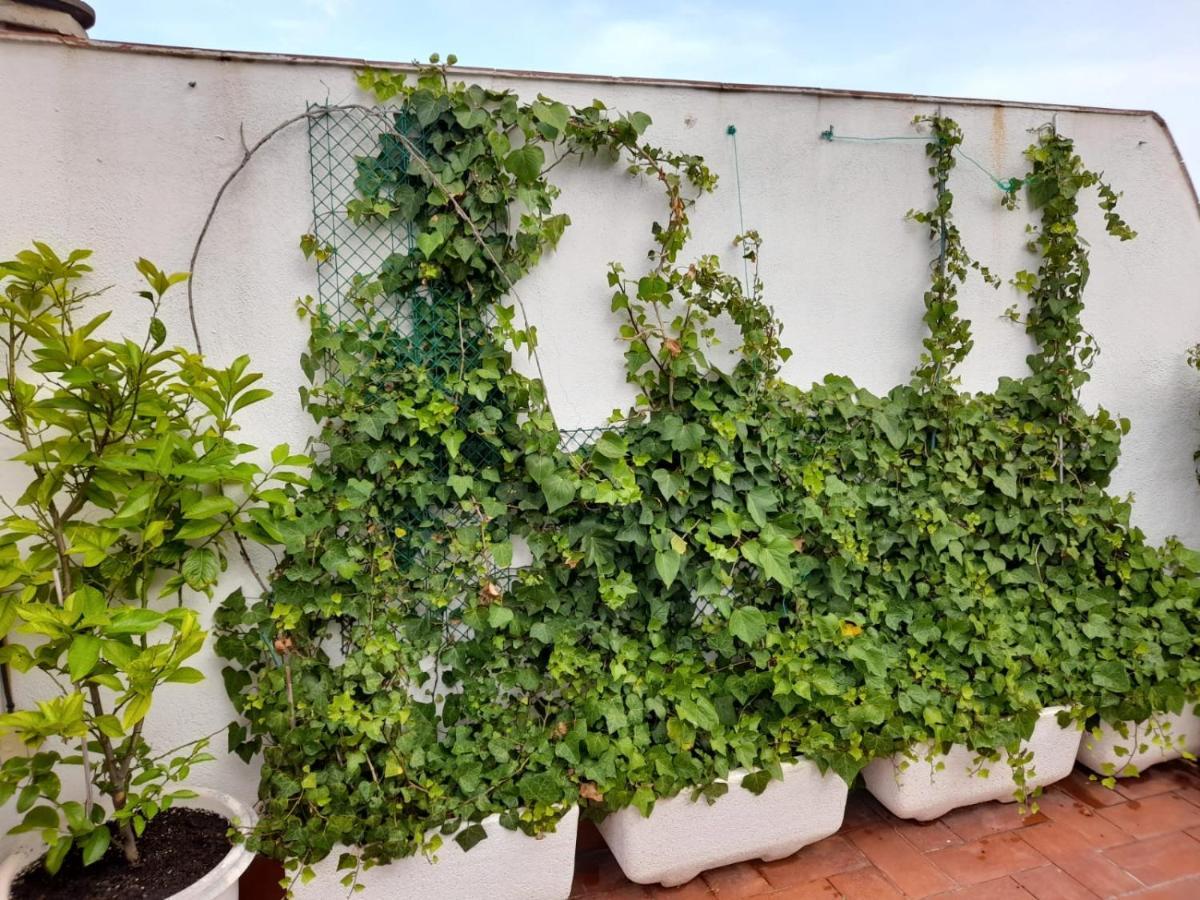 Atico Isaac Albeniz Apartment La Pineda Exterior photo